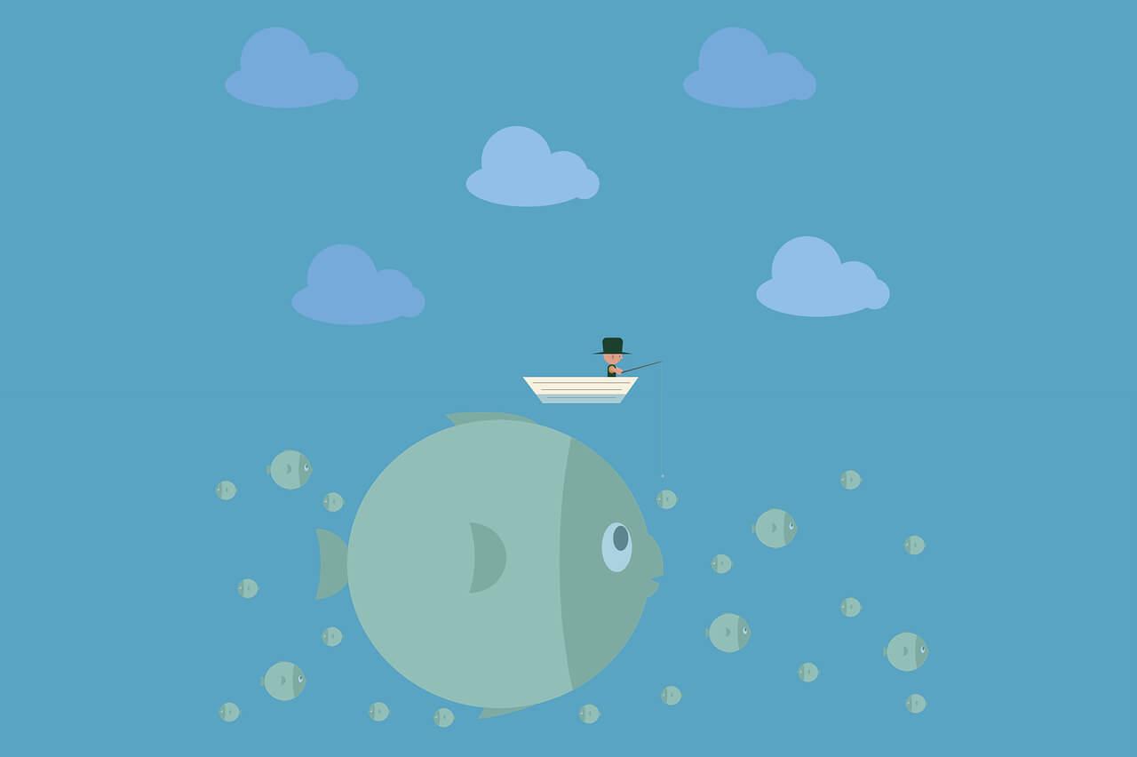 植物大战僵尸幼儿园版来啦